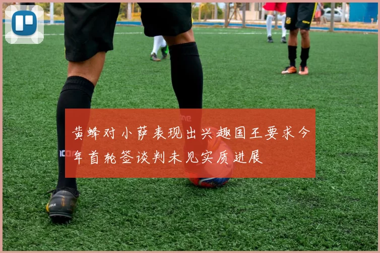 黄蜂对小萨表现出兴趣国王要求今年首轮签谈判未见实质进展